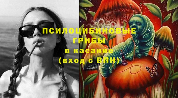 ПСИЛОЦИБИНОВЫЕ ГРИБЫ Ладушкин