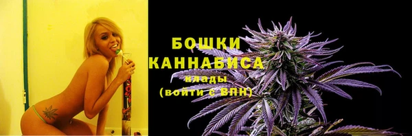 ПСИЛОЦИБИНОВЫЕ ГРИБЫ Ладушкин