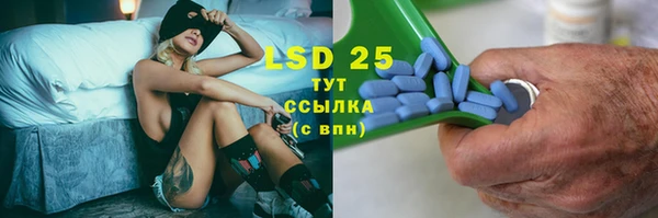 ПСИЛОЦИБИНОВЫЕ ГРИБЫ Ладушкин