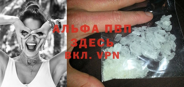 ПСИЛОЦИБИНОВЫЕ ГРИБЫ Ладушкин