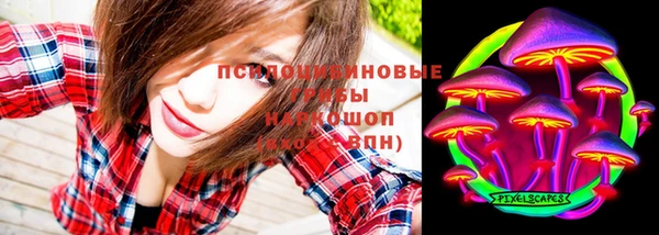 ПСИЛОЦИБИНОВЫЕ ГРИБЫ Ладушкин
