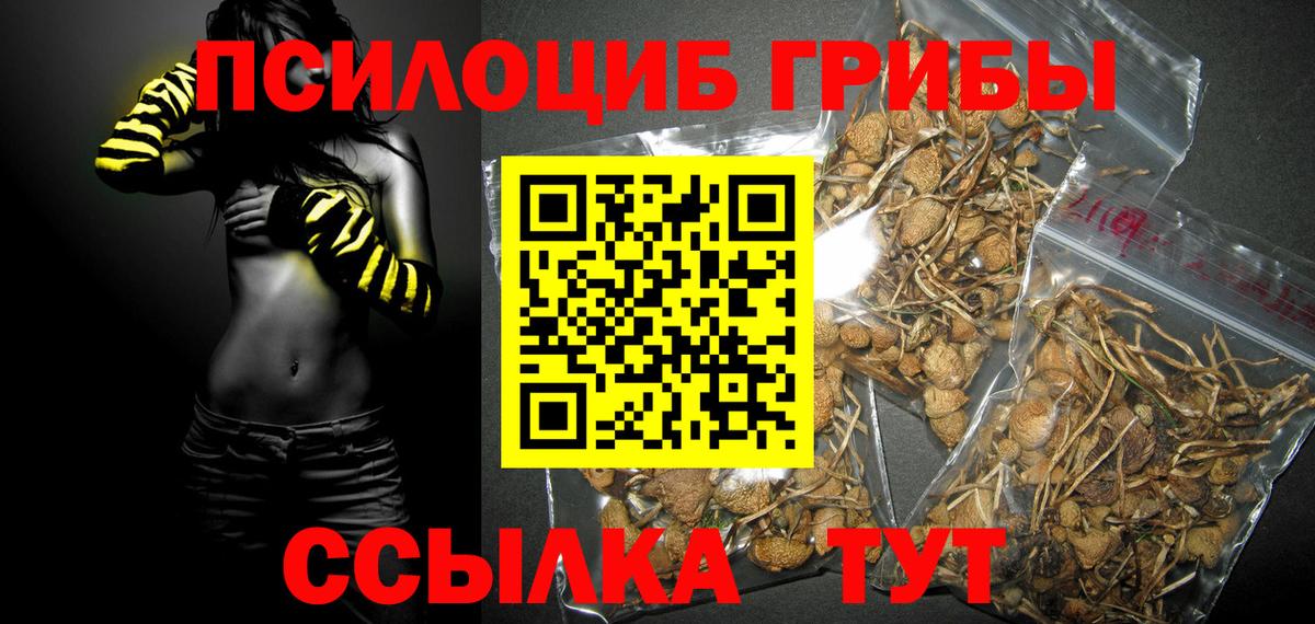 Псилоцибиновые грибы мицелий Сердобск