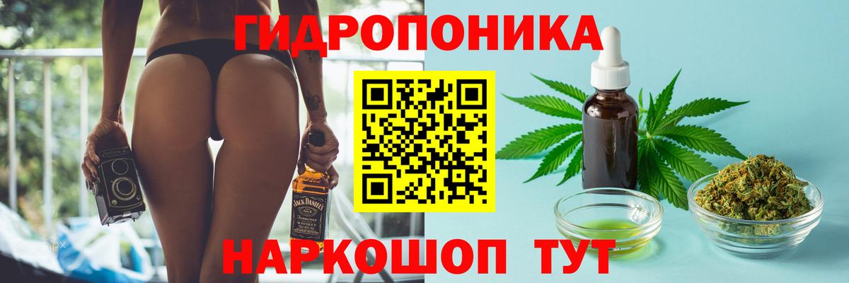 Шишки марихуана White Widow  Бошки Шишки SATIVA & INDICA  Бошки марихуана план  Сердобск 